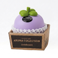 Purple Mangosteen Aromatherapy Air Freshener